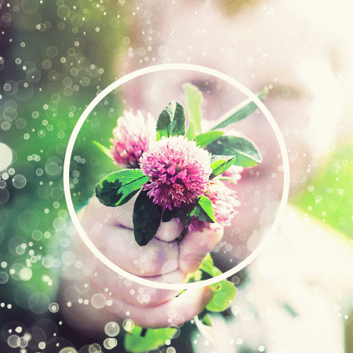 The Oral Cigarettes : Slowly but Surely I Go On